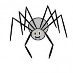 spider1