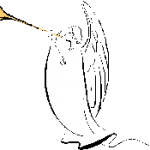 angel doc